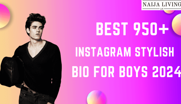 instagram stylish bio