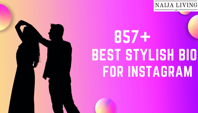 stylish bio for instagram